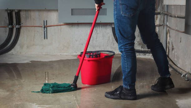 Best Basement water damage restoration  in Kelseyville, CA