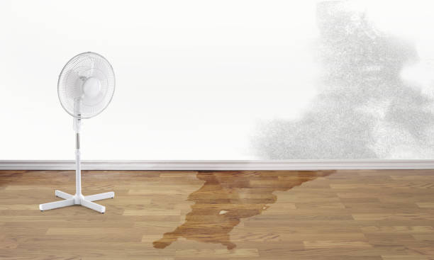 Best Residential water damage restoration  in Kelseyville, CA