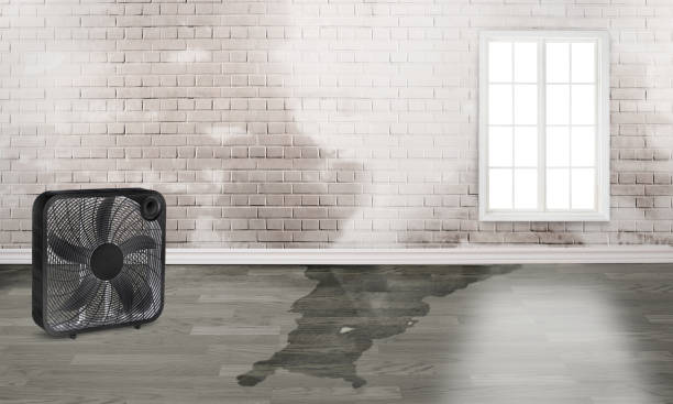 Best Ceiling water damage repair  in Kelseyville, CA