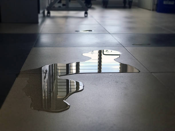 Best Water damage restoration experts  in Kelseyville, CA