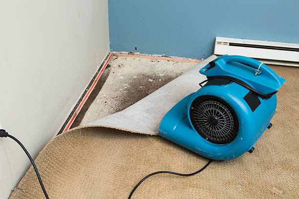 Best Water damage restoration near me  in Kelseyville, CA